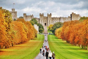 Windsor Castle & Bicester Village